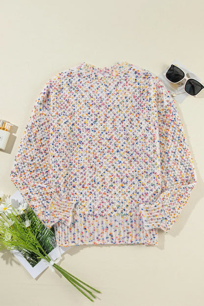 The Dittany Dream Round Neck Long Sleeve Confetti Sweater