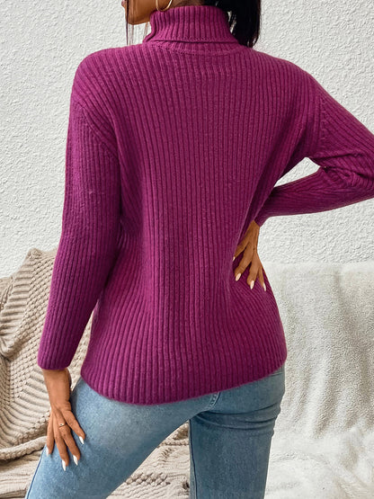 Classical Cleo Turtle Neck Long Sleeve Sweater