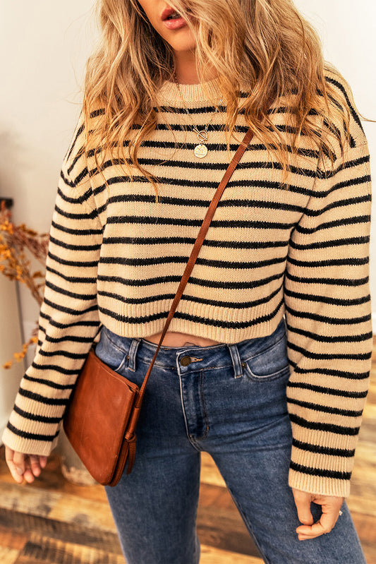 Rebellious Iris Striped Round Neck Long Sleeve Cropped Sweater