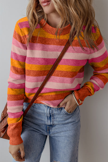 Frost Fall Color Block Ribbed Edge Round Neck Sweater